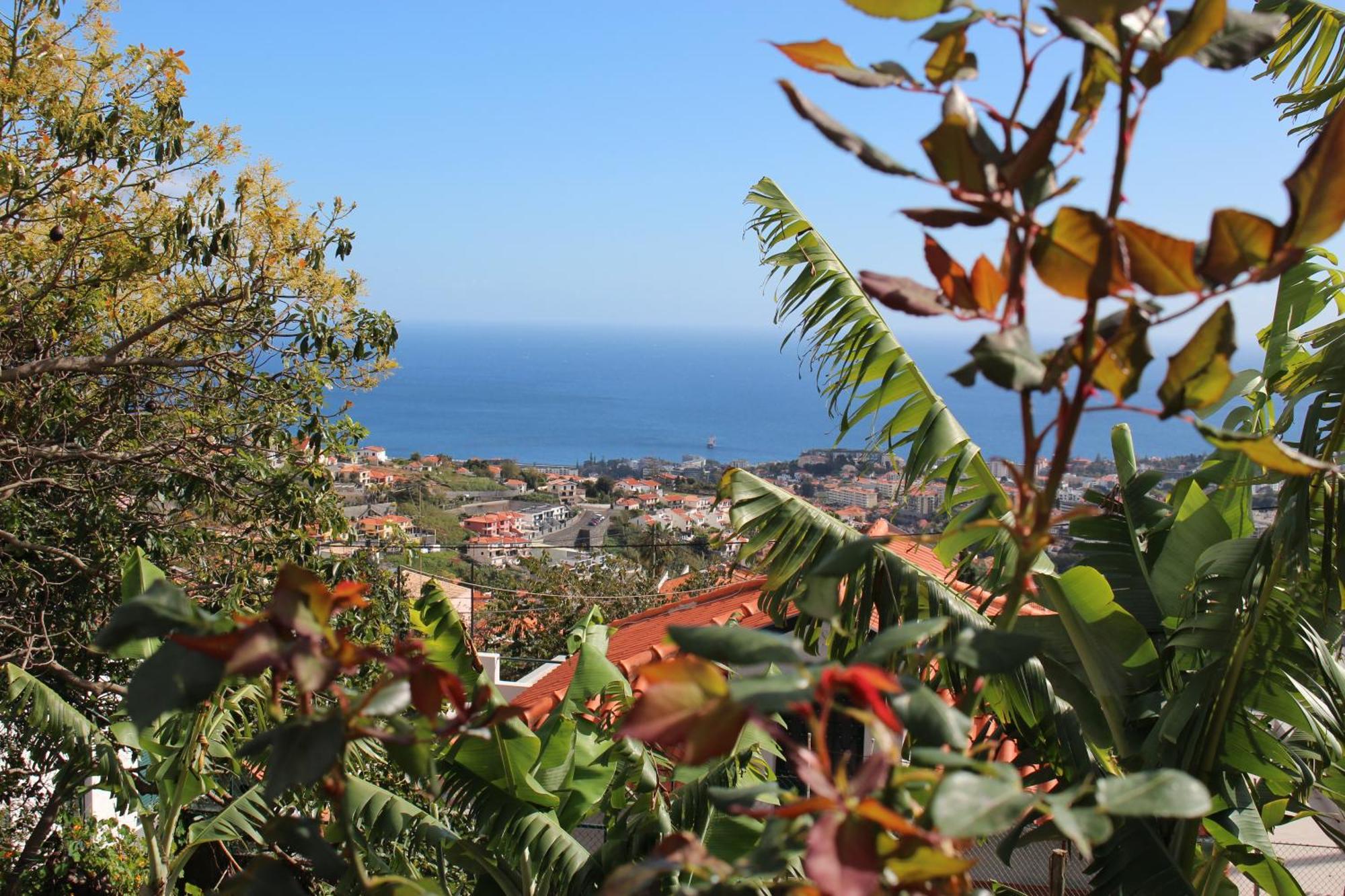 Alojamento Funchal - Silvestre House Bagian luar foto